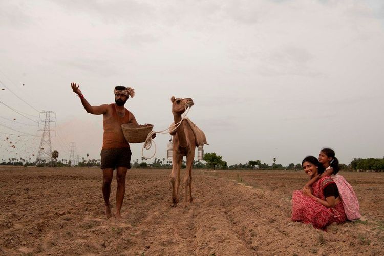 Bakrid Movie (2019) | Cast and Review